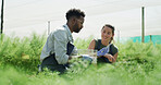 People, scientist and test tube with plants in greenhouse for research with botanical study. Staff, tablet and sample analysis with equipment, observing growth and experiment for agricultural science