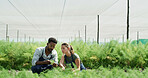 People, scientist and magnifying glass with plant in greenhouse for research with botanical study. Staff, teamwork and sample analysis with equipment, growth observation and experiment on agriculture