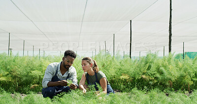 Buy stock photo People, scientist and magnifying glass with plant in greenhouse for research with botanical study. Staff, teamwork and sample analysis with equipment, growth observation and experiment on agriculture