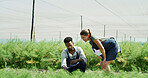 People, scientist and smile with plants in greenhouse for research, inspection and botanical study. Team, digital and happy with crops for quality control, observing growth and agriculture experiment