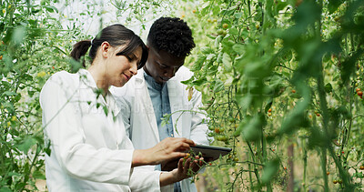 Buy stock photo Team, online and people with tablet, farm or research for disease management, plants and agriculture. Outdoor, botanist and colleagues with tech in nature, reading and study for quality assurance