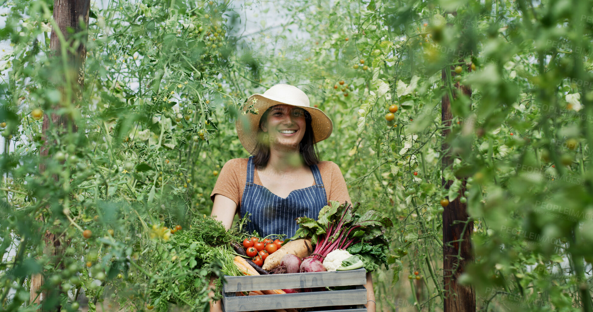 Buy stock photo Happy, vegetables and woman with box in greenhouse for harvesting, sustainable or agro business. Portrait, basket and female farmer with produce for agriculture, food or crops export in conservatory.