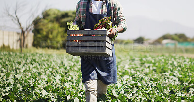 Buy stock photo Delivery, vegetables and man with box outdoor for harvesting, sustainability or agro business. Seller, basket and male farmer with produce for agriculture, food or crops export in countryside.