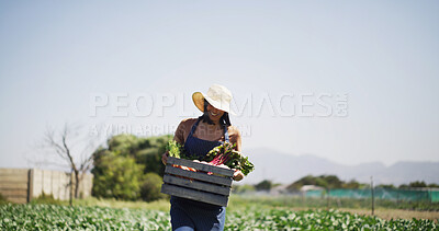 Buy stock photo Walking, produce and woman with box outdoor for harvesting, sustainability or agro business. Seller, basket and female farmer with vegetables for agriculture, food or crops export in countryside.