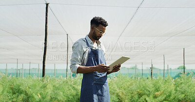 Buy stock photo Botanist, reading and man with tablet, farm and plant inspection for disease management and research. Outdoor, agronomist and person with tech in nature, agriculture and study for quality assurance