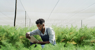 Buy stock photo Farm, plants and man with tablet, online and inspection for disease management, reading and research. Outdoor, agronomist and person with tech in nature, agriculture and check for quality assurance