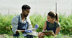Scientist, pipette and test tube with plants in greenhouse for research with botanical study. People, tablet or testing sample with equipment, observing growth and experiment for agricultural science
