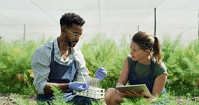 Buy stock photo Scientist, pipette and test tube with plants in greenhouse for research with botanical study. People, tablet or testing sample with equipment, observing growth and experiment for agricultural science