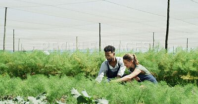 Buy stock photo Happy, team and people with plants, farm and inspection for disease management, talk and agriculture. Outdoor, botanist and colleagues with tablet in nature, smile and study for quality assurance
