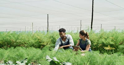 Buy stock photo Team, talking and people with tablet, farm and plant inspection for disease management and research. Outdoor, botanist and colleagues with tech in nature, agriculture and study for quality assurance