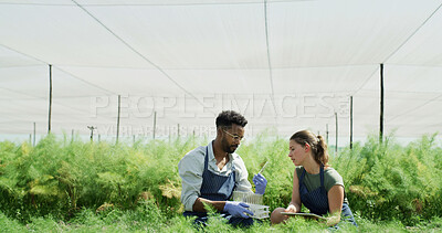 Buy stock photo Greenhouse, test tube and people with tablet, sample or gmo with app for crop inspection. Man, woman and agriculture with tech, genetic engineering or sustainability discussion for growth research