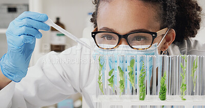Buy stock photo Glass tubes, plants and scientist in laboratory for medical development with research, study or project. Vials, horticulture science and female botanist with leaves for pharmaceutical innovation.