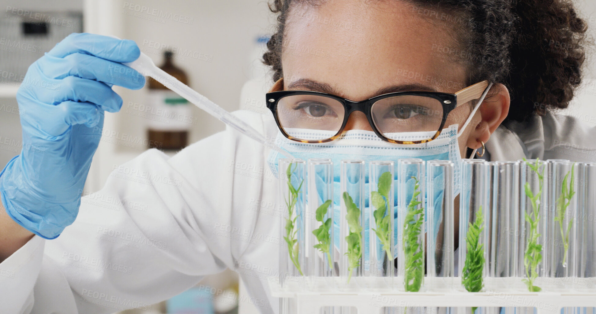 Buy stock photo Glass tubes, plants and scientist in laboratory for medical development with research, study or project. Vials, horticulture science and female botanist with leaves for pharmaceutical innovation.
