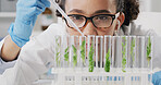 Glass vials, plants and scientist in laboratory for medical development with research, study or project. Tubes, horticulture science and female botanist with leaves for pharmaceutical innovation.