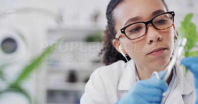 Buy stock photo Scientist, leaf and woman with ecology, earphones and chemical study in laboratory for education. Biotechnology, medical research and plant for project sample, podcast and environment experiment
