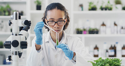 Buy stock photo Science, pipette or woman in lab with plants, analysis or examination for biochemistry study. Botany, testing tube or scientist with leaf samples, agro experiment or inspection in rna development.