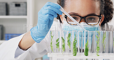 Buy stock photo Glass tubes, leaves and scientist in laboratory for medical development with research, study or project. Vials, horticulture science and female botanist with plants for pharmaceutical innovation.