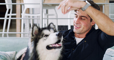 Buy stock photo Home, playing and man with dog, funny and bonding together for love, pet and companion. Laughing, animal care and person with canine, best friend and connection for adoption and loyalty in lounge