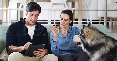 Buy stock photo Home, credit card and couple on sofa, tablet and website info for pet insurance, password and talking. Purchase, man and woman on couch, dog and tech for online shopping and payment for canine care