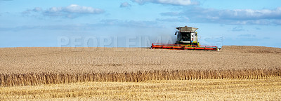 Buy stock photo Harvester, tractor and landscape for crops at farm with sky, clouds or horizon for organic food production. Vehicle, machine and sustainable agriculture with equipment, grain and drive in countryside