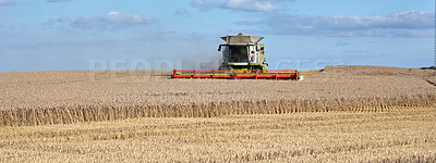 Buy stock photo Harvester, machine and farming with crops in nature for agriculture, cutting wheat and collection. Blue sky, vehicle and equipment for farm fields, food production and harvesting season of plantation