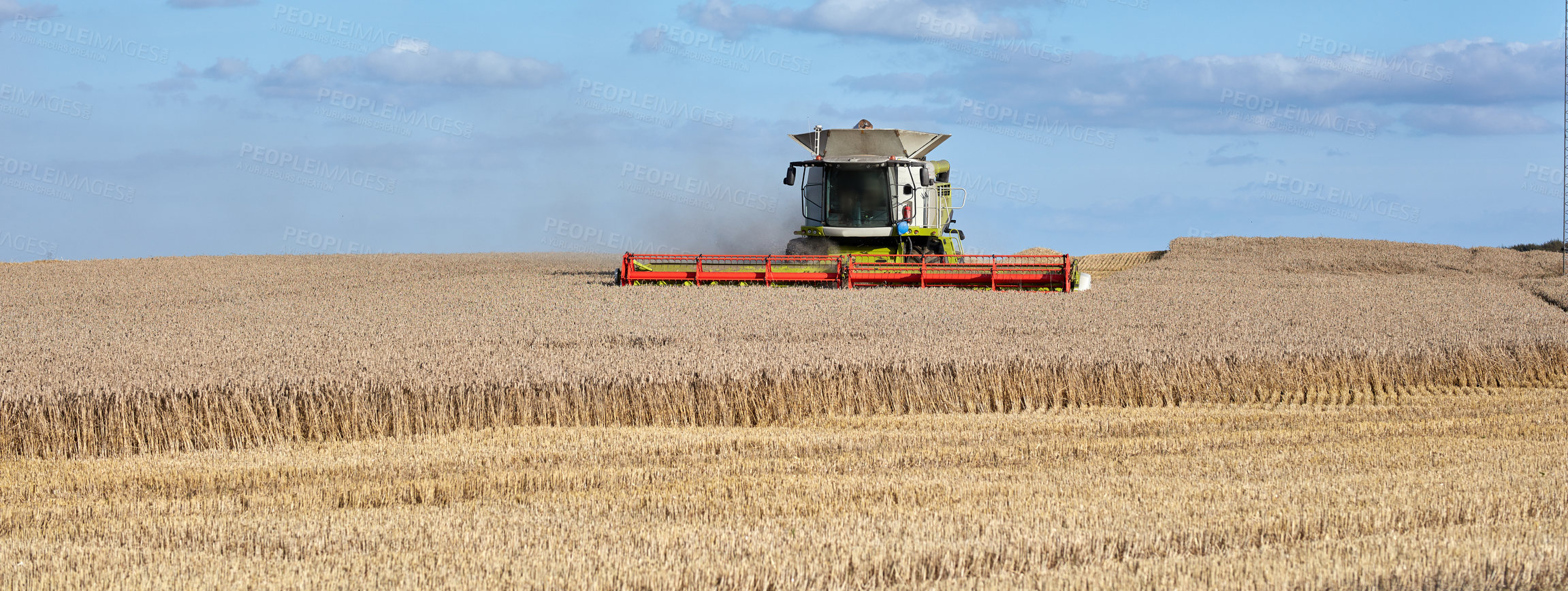 Buy stock photo Harvester, machine and farming with crops in nature for agriculture, cutting wheat and collection. Blue sky, vehicle and equipment for farm fields, food production and harvesting season of plantation