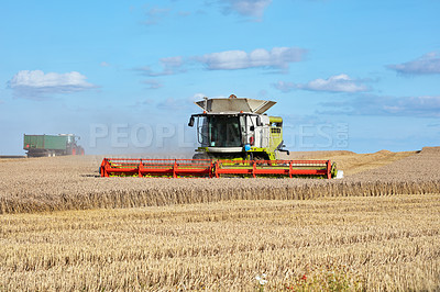 Buy stock photo Harvester, machine and crops on farm outdoor for agriculture, cutting wheat and collection. Blue sky, vehicle and equipment at farming industry, food production and harvest season of grain plantation