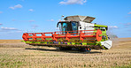 Harvester, machine and crops on farm in nature for agriculture, cutting wheat and collection. Blue sky, vehicle and equipment for farming industry, food production and harvest season of plantation