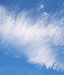Background, nature and clouds in blue sky for weather pattern, atmosphere and climate. Natural, empty and scenic view of skyline with aesthetic for texture, wallpaper and air environment in morning