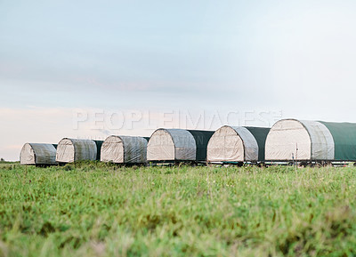 Buy stock photo Outdoor, sustainability and henhouse for chicken farm, eco friendly and poultry production in nature. Grassland, space and coop for livestock in countryside, landscape and agriculture development