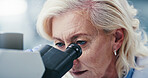 Lab, healthcare and mature woman with microscope, biotech and disease diagnosis for medical research. Clinic, scientist and person with equipment for cell analysis, innovation and histopathology