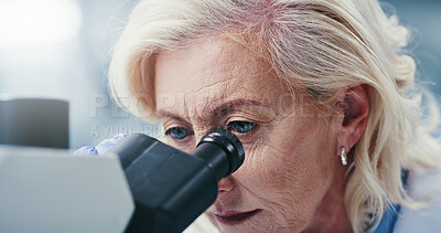 Buy stock photo Lab, healthcare and mature woman with microscope, biotech and disease diagnosis for medical research. Clinic, scientist and person with equipment for cell analysis, innovation and histopathology