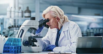Buy stock photo Lab, scientist and woman with microscope, study and disease diagnosis with cell analysis and health. Clinic, science and mature person with equipment for medical research, exam and histopathology