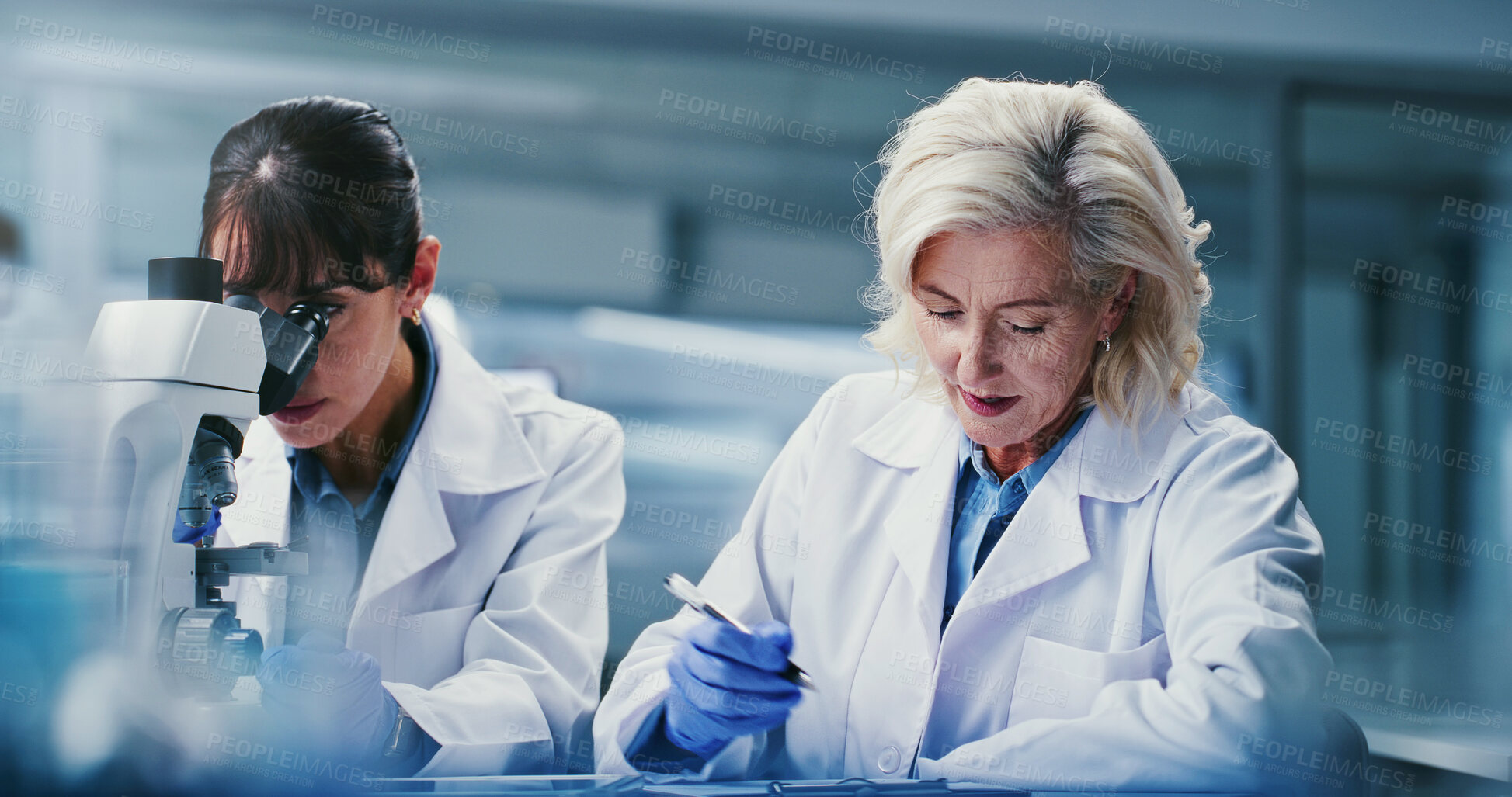 Buy stock photo Science, people and experiment in lab with microscope, pathology and investigation for medical research. Mature women, teamwork and scientist in clinic with biotech, sample test and healthcare trial.
