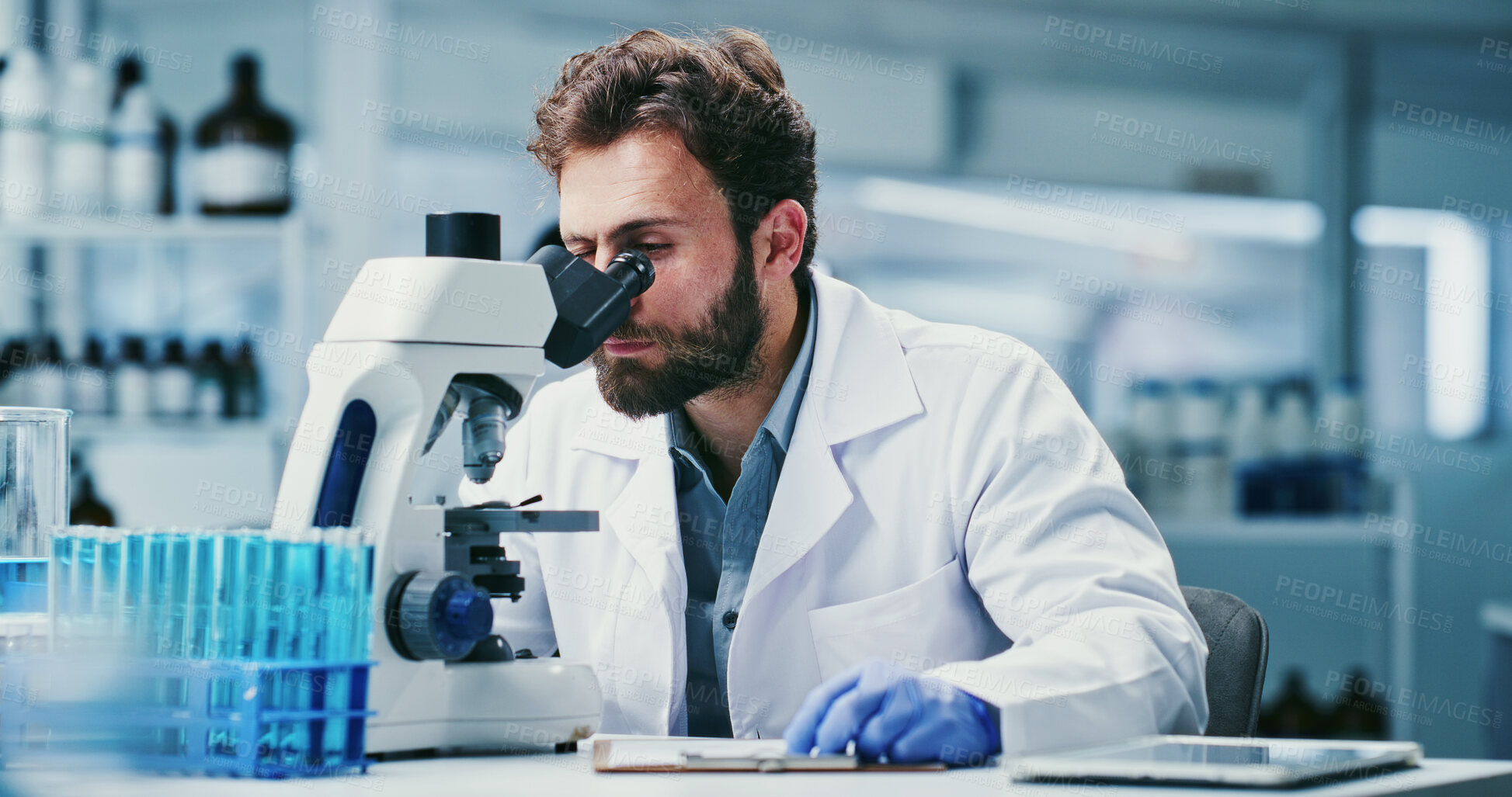 Buy stock photo Man, scientist or exam with microscope in laboratory for medical research or investigation. Male person, biotechnology or experiment with vials or test for forensic study, clinic trial or review