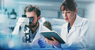 Buy stock photo Microscope, science and tablet with team in laboratory together for development or research. App, feedback and review with scientist people at work on clinical trial, medical industry or study
