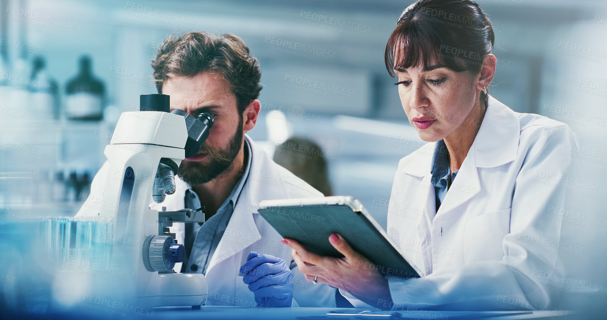 Buy stock photo Microscope, science and tablet with team in laboratory together for development or research. App, feedback and review with scientist people at work on clinical trial, medical industry or study
