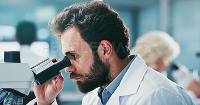 Buy stock photo Scientist, man and inspection in lab with microscope, experiment and sample test for medical research. Coworking, person and science investigation with equipment, clinical trial and healthcare study.