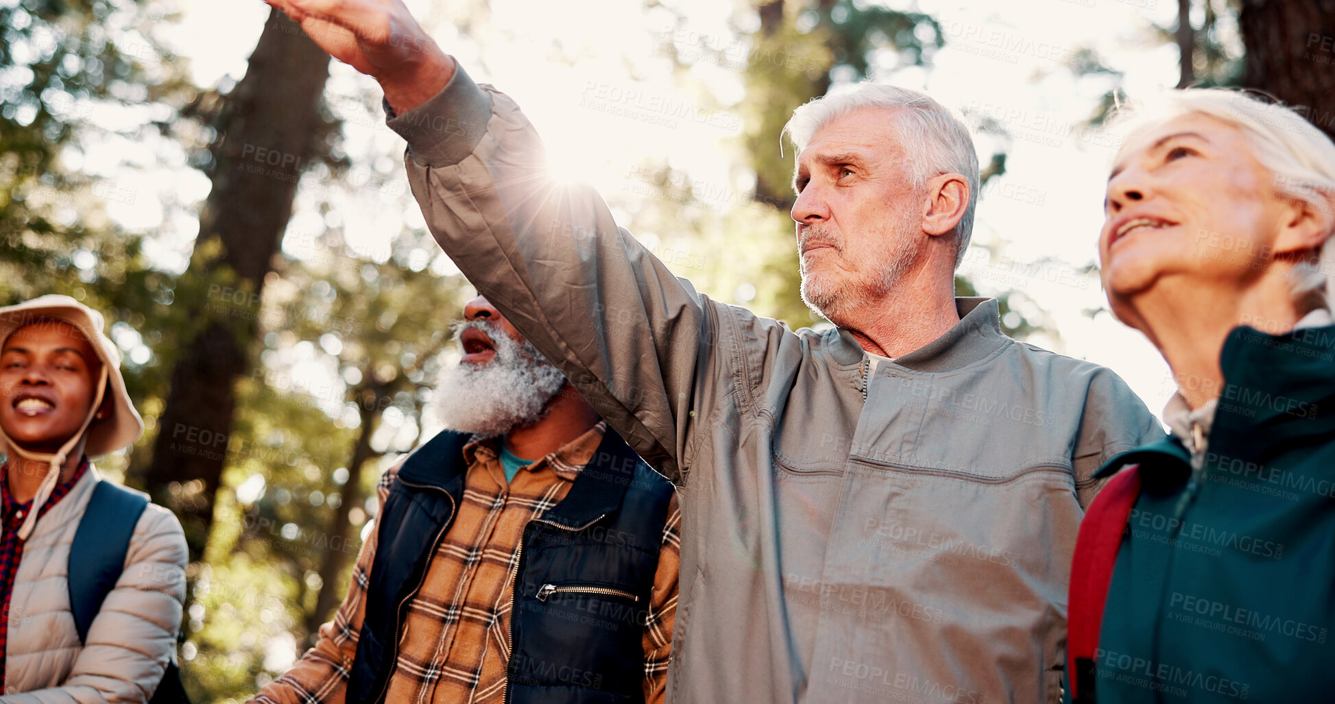 Buy stock photo Pointing, friends and old people in forest for hiking, travel adventure and bird watching expedition. Eco tourism, flare and senior group with trekking for nature exploration, show direction or below