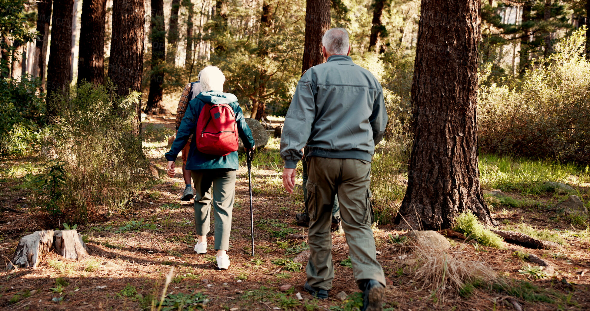 Buy stock photo Hiking, walking and back of senior people in forest for  wellness, active hobby and fresh air. Travel, retirement and elderly men and women on nature trail for adventure, health and exercise outdoor