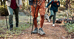 Feet, people and hiking pole on trail for travel adventure, field research or nature observation. Ecology, balance and group legs on trekking expedition for conservation study, explore forest or walk