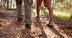 Fitness, people and legs with hiking in forest for adventure, cardio exercise and exploring nature. Back, friends and trekking on trail for wellness journey, weekend break and hobby in countryside