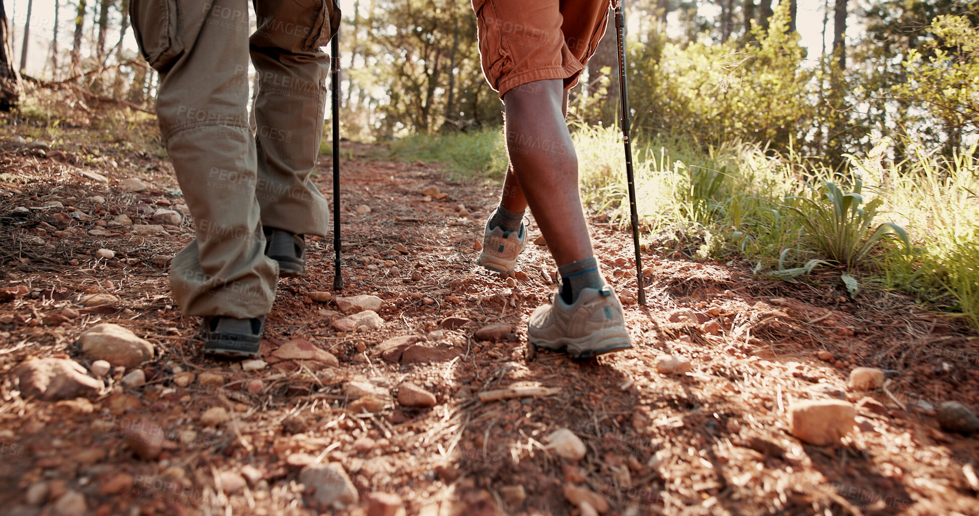 Buy stock photo Legs, people and hiking pole on trail for travel adventure, field research and nature observation. Back, balance and feet of team on trekking expedition for eco tourism, ecology journey and discovery