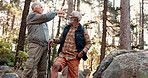 Pointing, friends and old people in woods for hiking, travel navigation and bird watching expedition. Eco tourism, trekking or senior men on adventure to explore nature, show direction or sightseeing