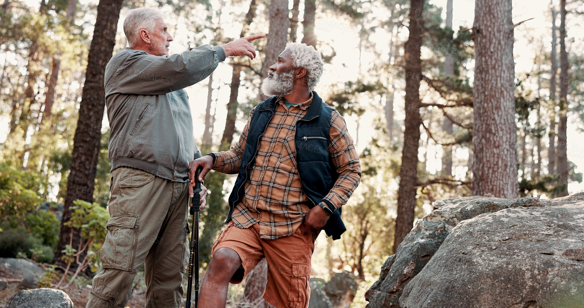 Buy stock photo Pointing, friends and old people in woods for hiking, travel navigation and bird watching expedition. Eco tourism, trekking or senior men on adventure to explore nature, show direction or sightseeing