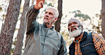 Pointing, friends and old people in nature for hiking, travel navigation and bird watching expedition. Eco tourism, below and senior men with trekking to explore forest, show direction and adventure