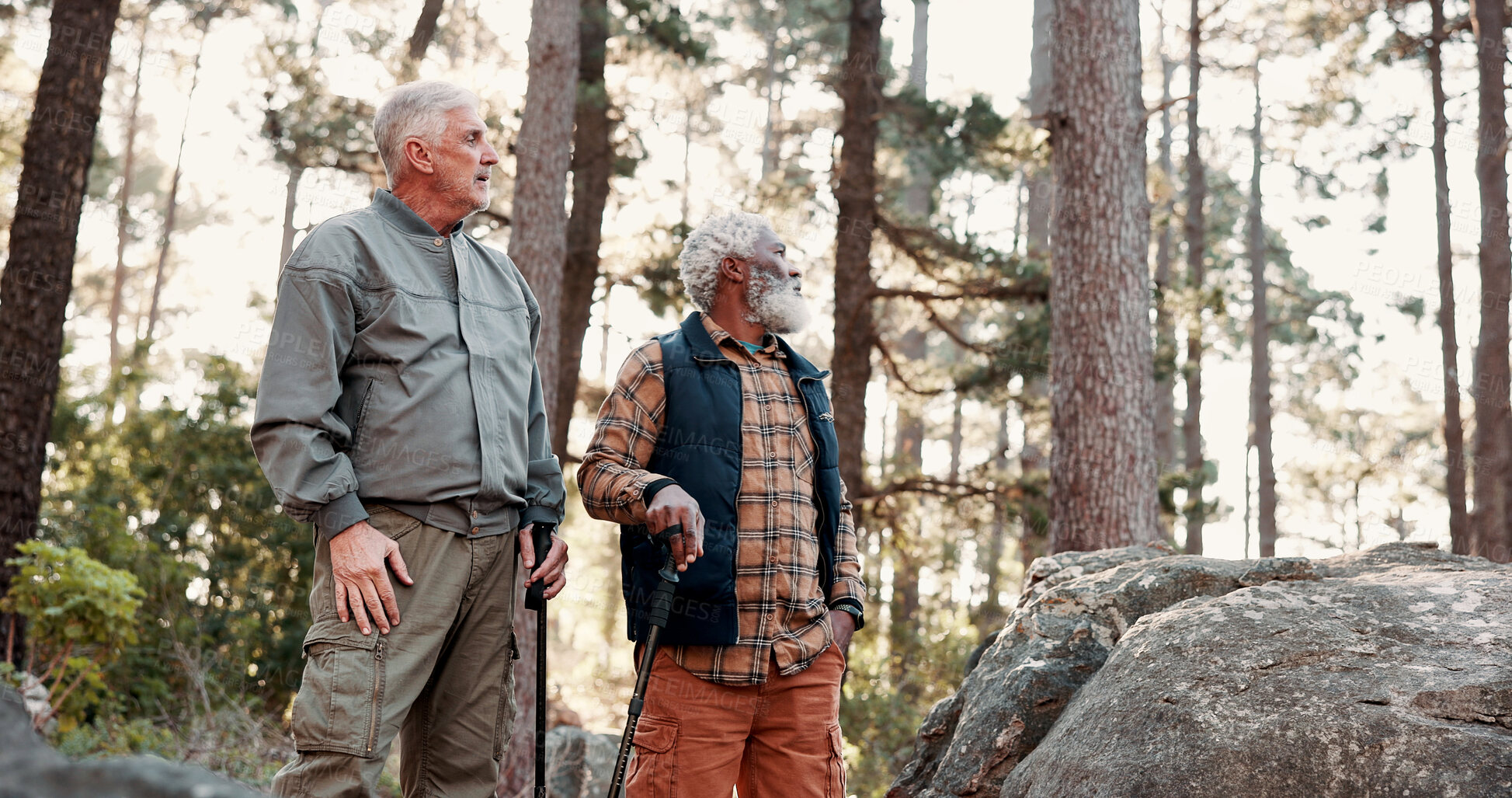 Buy stock photo Hiking, walking and senior men in forest for wellness, active hobby and fresh air together. Travel, retirement and elderly people on nature trail for adventure, health and exercise outdoor in morning