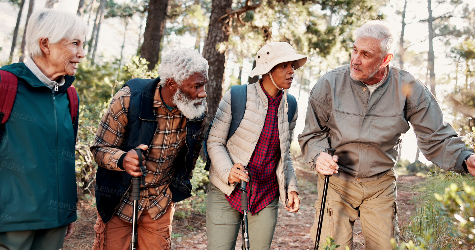 Buy stock photo Senior, group and hiking discovery in forest for travel adventure, field research or eco tourism. Voluntary conservation, sticks or old people trekking in woods for expedition, ecology study or trail