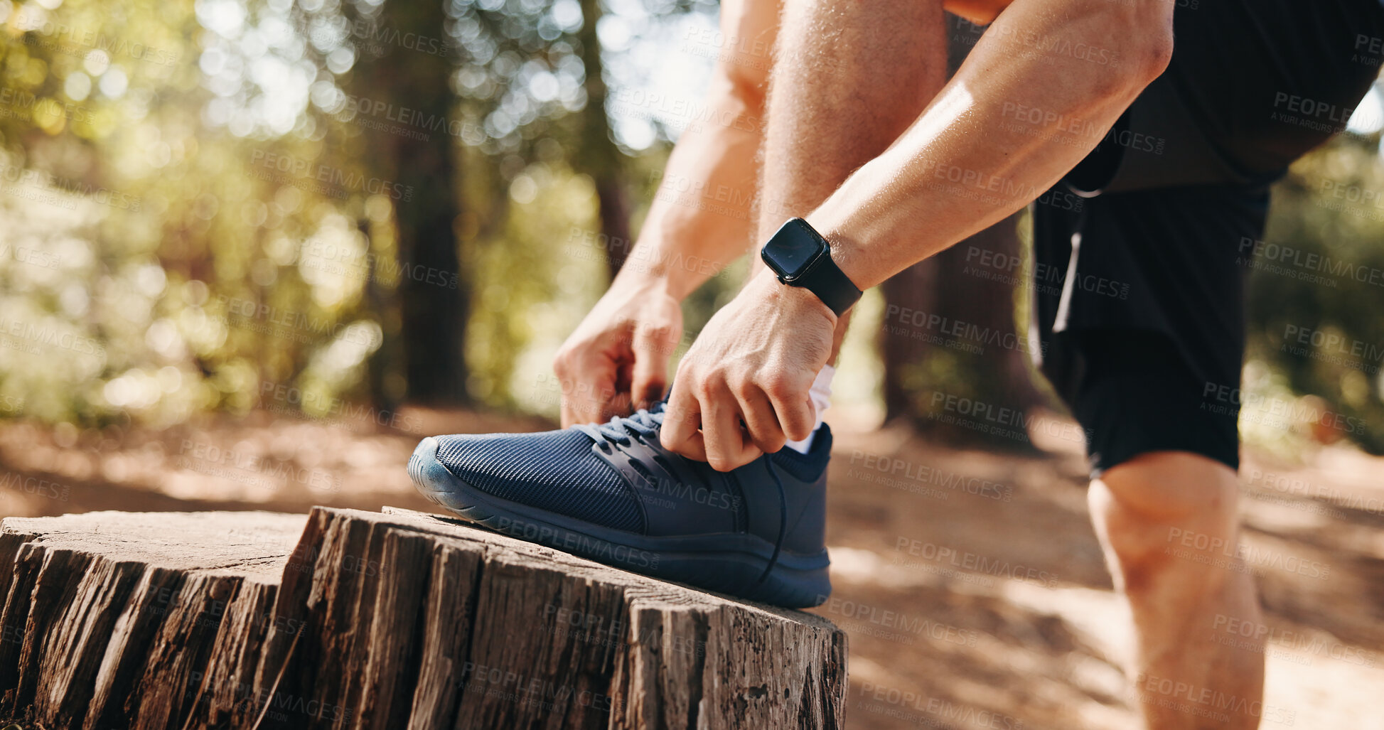 Buy stock photo Nature, fitness and man tie shoes for workout, training and exercise on outdoor trail. Sports, sneakers and hands of person with shoelace for wellness, health and ready for runner challenge in woods