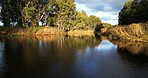 Water, lake and trees with cloudy sky in nature of serene view, environment or outdoor wilderness. Empty, space and big pond with natural growth or river of quiet landscape, scenery or ocean stream